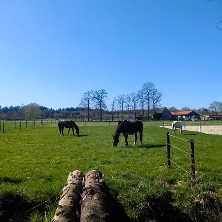 Chalet Chique Met Zicht Over De Weilanden Op De Veluwe