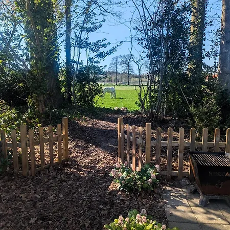 Chique Met Zicht Over De Weilanden Op De Veluwe Chalet Epe
