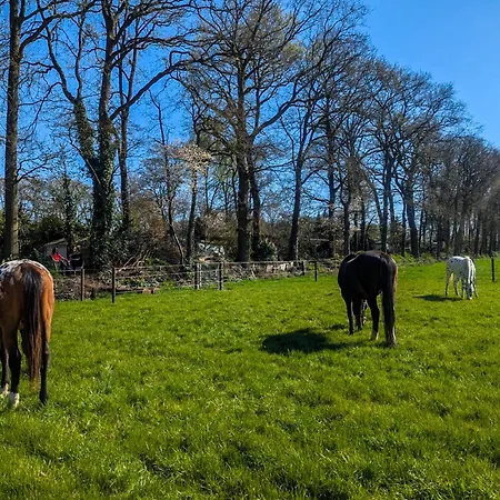 Stijlvol, Rustig Midden In De Veluwse Met Weidezicht * אפ