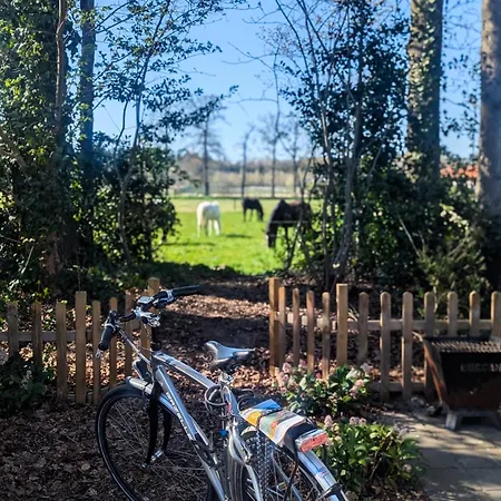 Chique Met Zicht Over De Weilanden Op De Veluwe Chalet