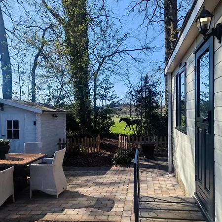 Chalet Chique Met Zicht Over De Weilanden Op De Veluwe
