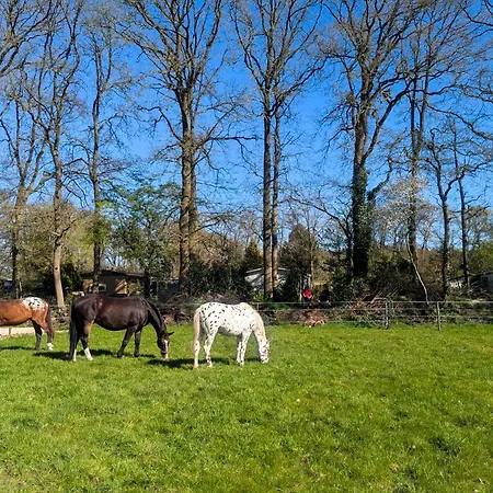 Stijlvol, Rustig Midden In De Veluwse Met Weidezicht בקתה *