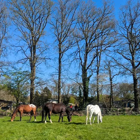 Chique Met Zicht Over De Weilanden Op De Veluwe