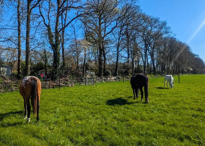 Stijlvol, Rustig Midden In De Veluwse Met Weidezicht * Epe