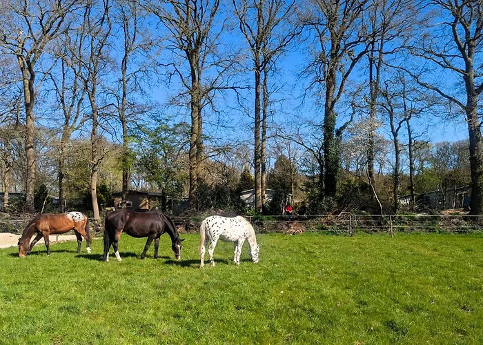 Stijlvol, Rustig Midden In De Veluwse Met Weidezicht Chalé *