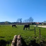 Chalet Stijlvol, Rustig Midden In De Veluwse Mét Weidezicht