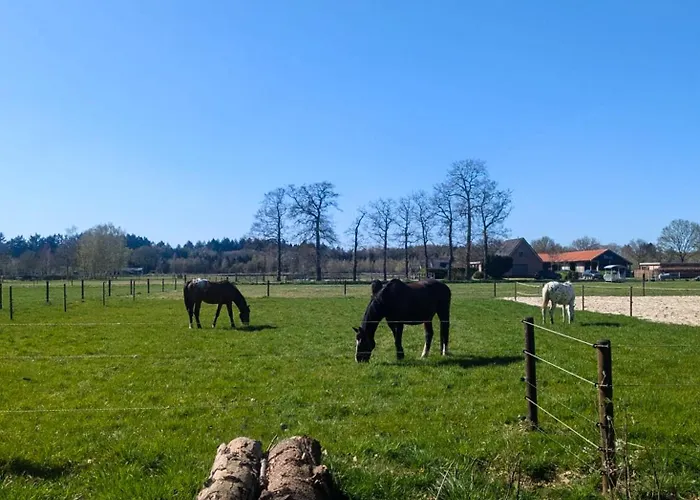 Alpstuga Stijlvol, Rustig Midden In De Veluwse Met Weidezicht