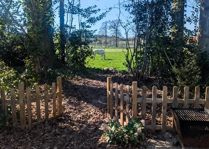 Stijlvol, Rustig Midden In De Veluwse Met Weidezicht Alpstuga Epe