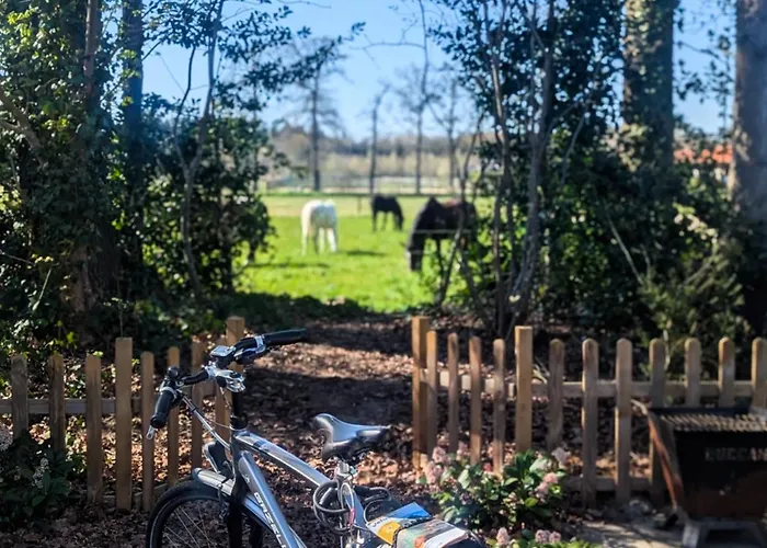 Stijlvol, Rustig Midden In De Veluwse Met Weidezicht Alpstuga