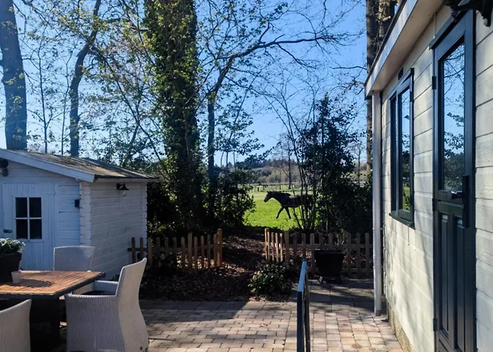 Alpstuga Stijlvol, Rustig Midden In De Veluwse Met Weidezicht